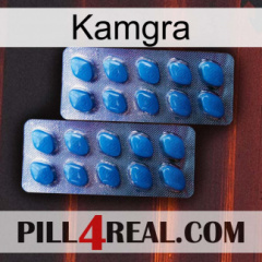Kamgra viagra2